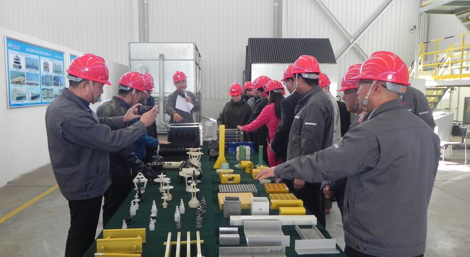 我公司組織舉辦“專家金秋藍(lán)想行”活動