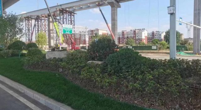 寶山路昌國路綠化項(xiàng)目順利通過預(yù)驗(yàn)收