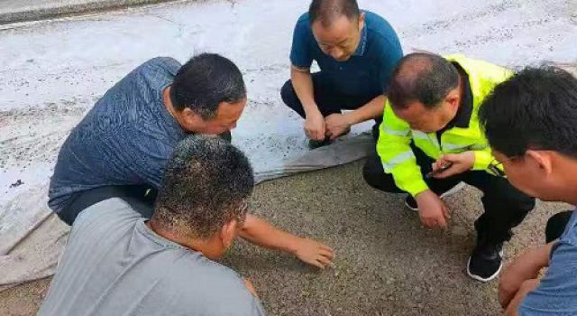 淄博市交通建設(shè)發(fā)展中心對養(yǎng)護(hù)工程進(jìn)行檢查