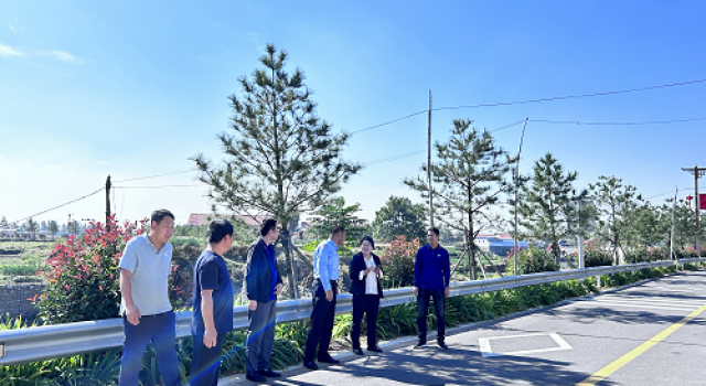 莒縣龍山鎮(zhèn)鄉(xiāng)村振興示范片區(qū)打造建設項目竣工驗收