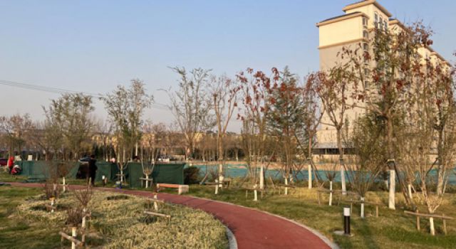 津五路局部道路設(shè)施改造項(xiàng)目交通調(diào)查啟動(dòng)，助力交通影響評價(jià)