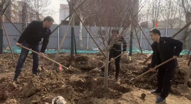 淄博快速路項目開展“踐行綠色發(fā)展理念，構(gòu)建美麗中國”迎植樹節(jié)活動