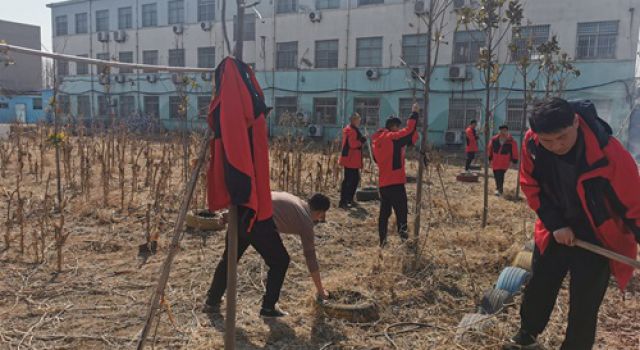 陽(yáng)春三月，菜園翻新，濟(jì)微一駐地辦再添新綠