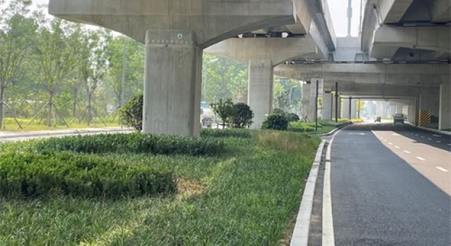 淄博快速路--寶山路綠化工程順利完工，獻(xiàn)禮國慶75周年